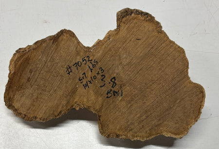 Brown Mallee Burl Cap 14" x 10" x 3" 5.7 Lbs #7052 - Exotic Wood Zone