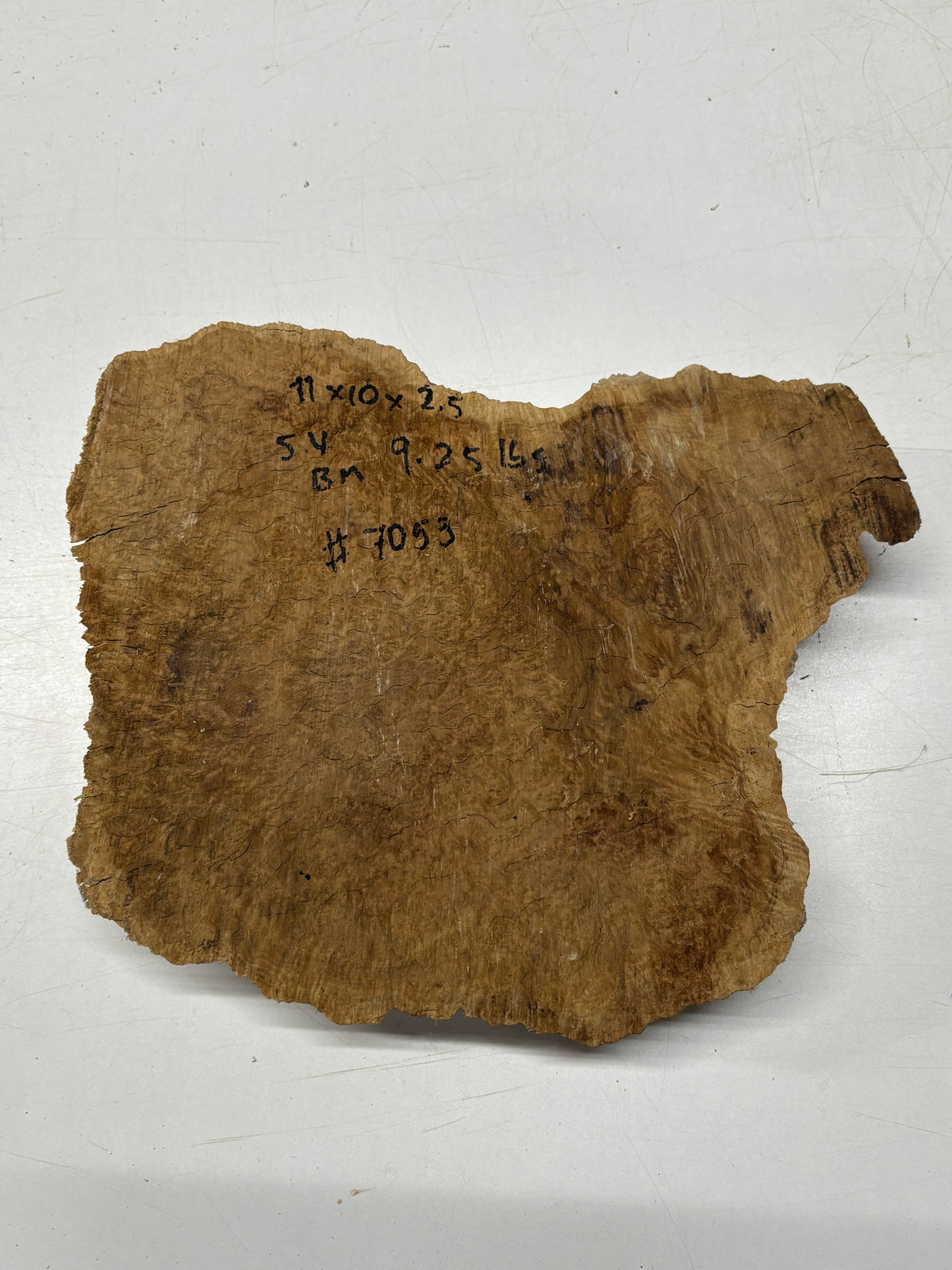 Brown Mallee Burl Cap 11" x 10" x 2.5" 9.25 Lbs #7053 - Exotic Wood Zone