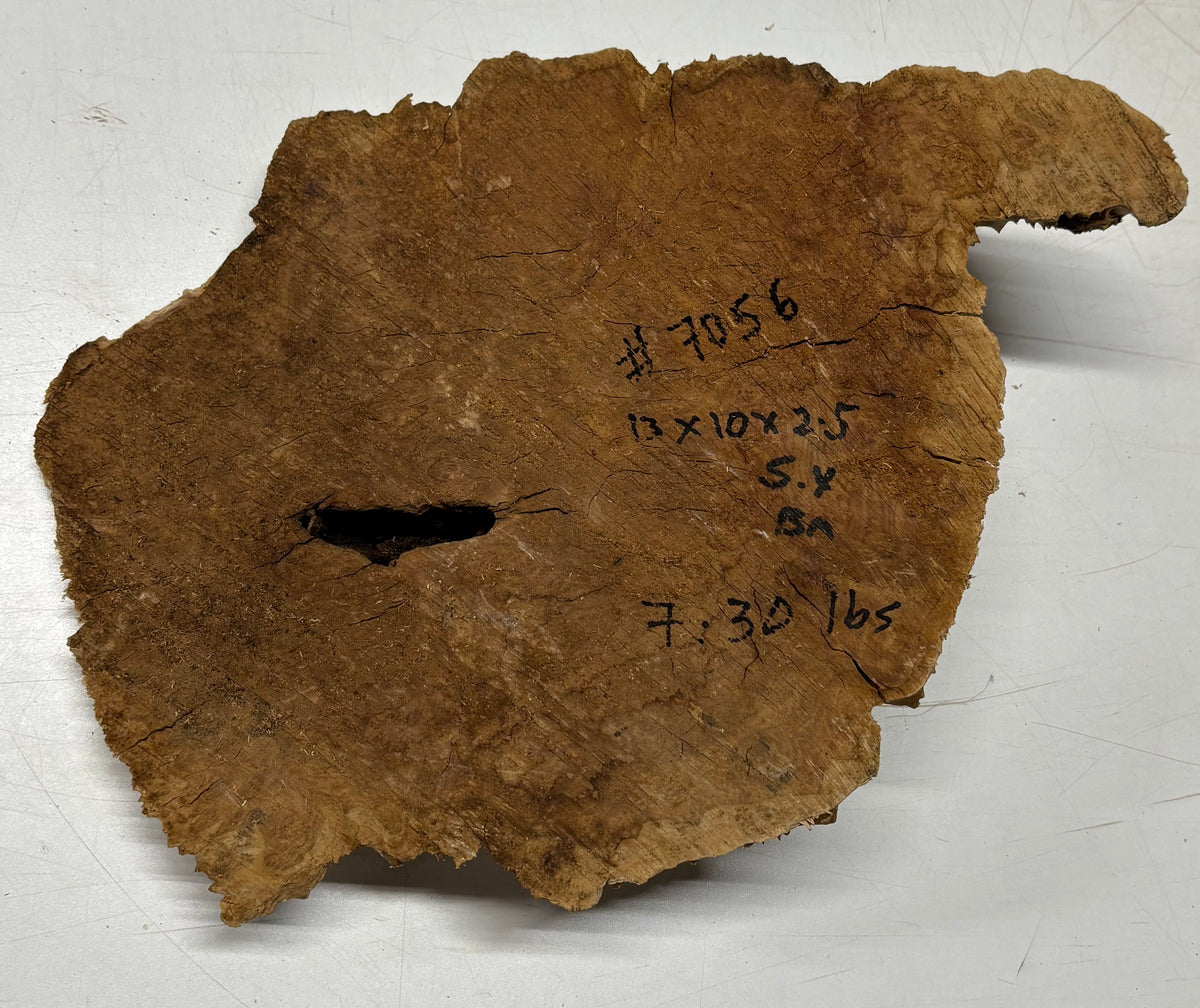 Brown Mallee Burl Cap 13" x 10" x 2.5" 7.3 Lbs #7056 - Exotic Wood Zone