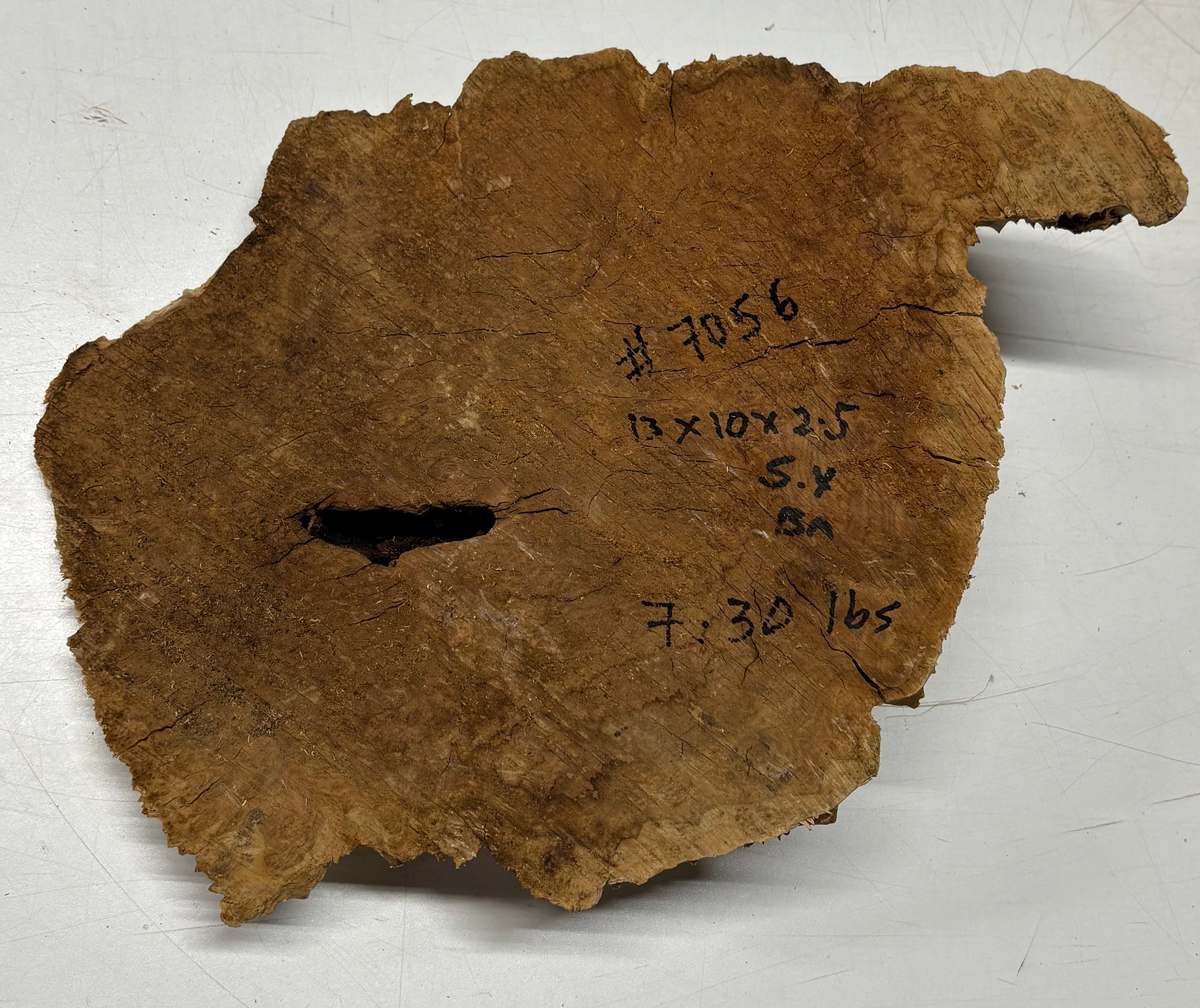 Brown Mallee Burl Cap 13" x 10" x 2.5" 7.3 Lbs #7056 - Exotic Wood Zone