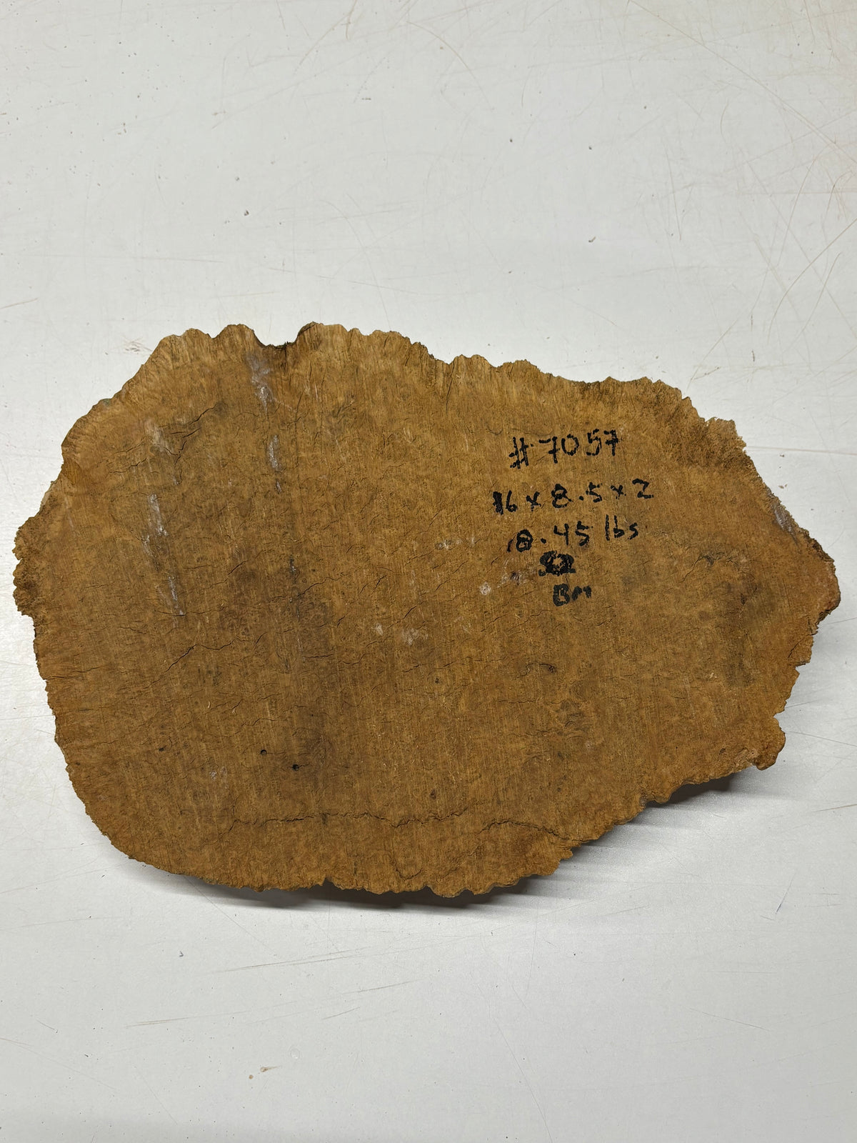 Brown Mallee Burl Cap 16" x 8.5" x 2" 8.45 Lbs #7057 - Exotic Wood Zone