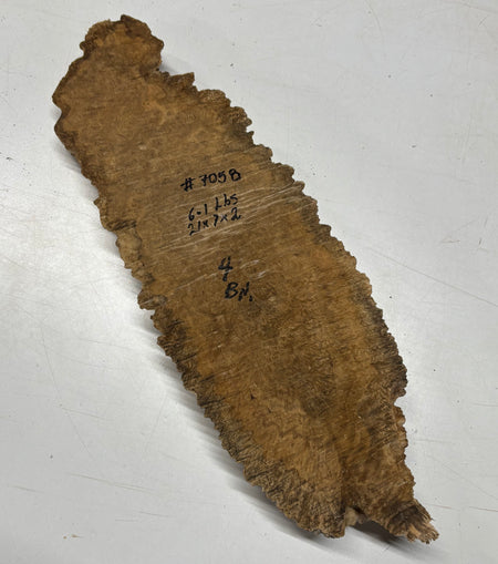 Brown Mallee Burl Cap 21" x 7" x 2" 6.1 Lbs #7058 - Exotic Wood Zone