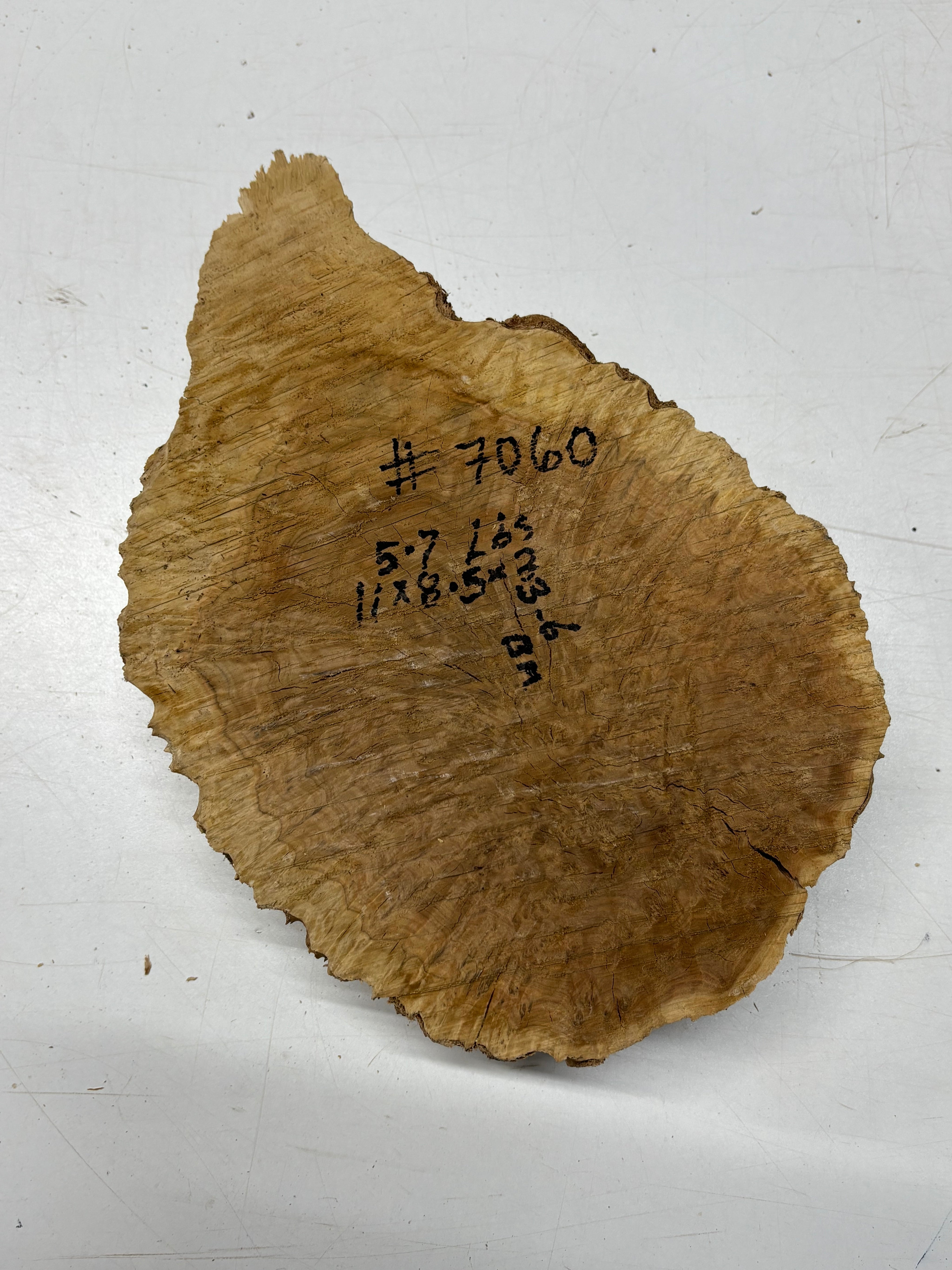 Brown Mallee Burl Cap 11" x 8.5" x 3" 5.7 Lbs #7060 - Exotic Wood Zone
