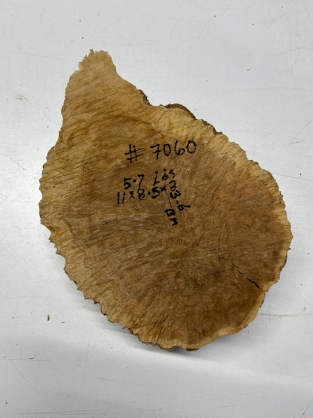 Brown Mallee Burl Cap 11" x 8.5" x 3" 5.7 Lbs #7060 - Exotic Wood Zone