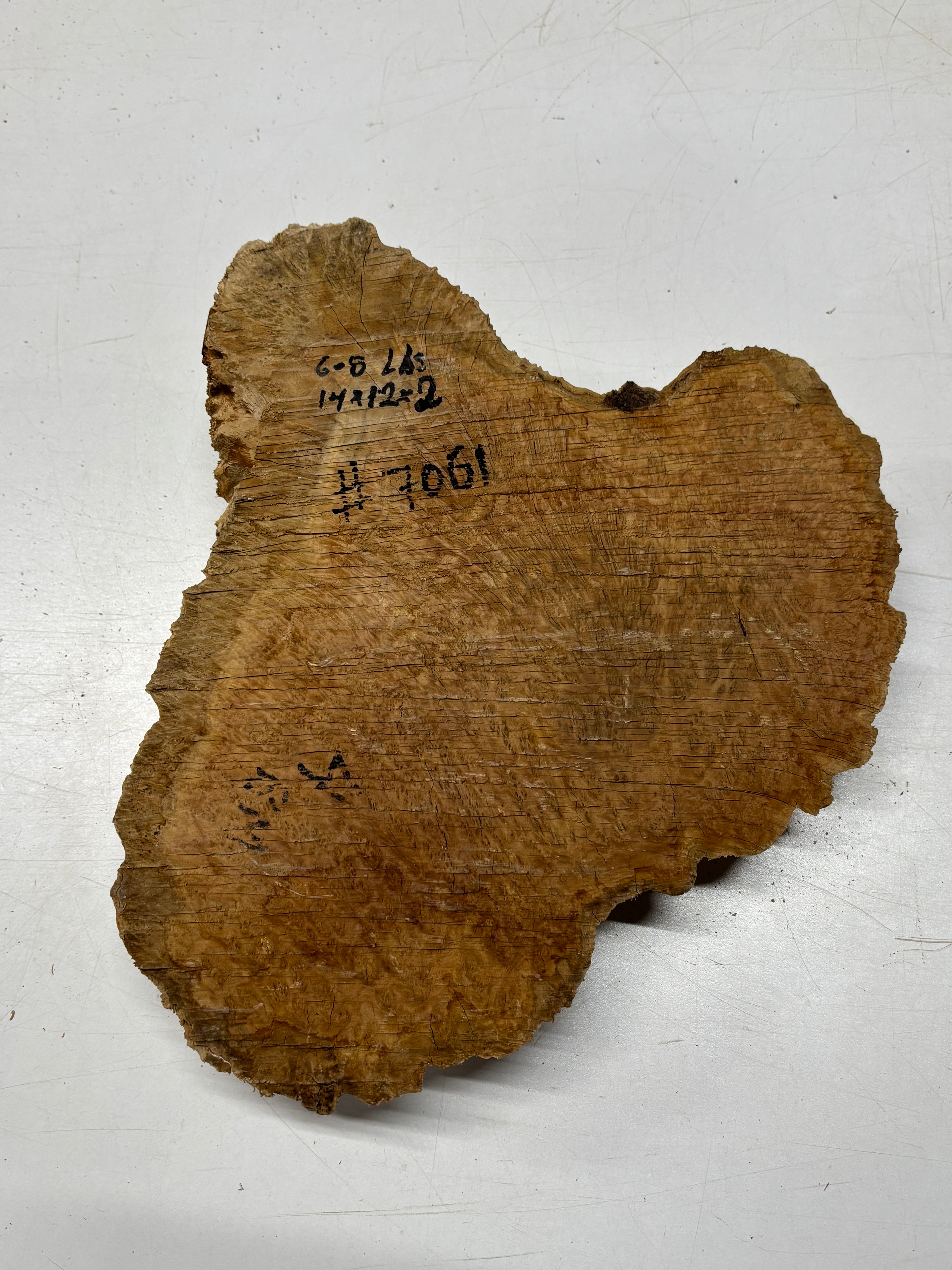 Brown Mallee Burl Cap 14" x 12" x 2" 6.8 Lbs #7061 - Exotic Wood Zone