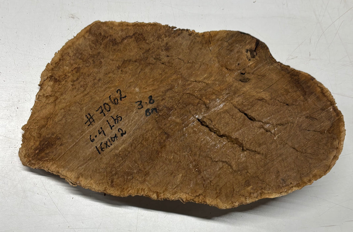 Brown Mallee Burl Cap 16" x 10" x 2" 6.4 Lbs #7062 - Exotic Wood Zone