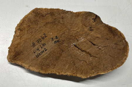 Brown Mallee Burl Cap 16" x 10" x 2" 6.4 Lbs #7062 - Exotic Wood Zone