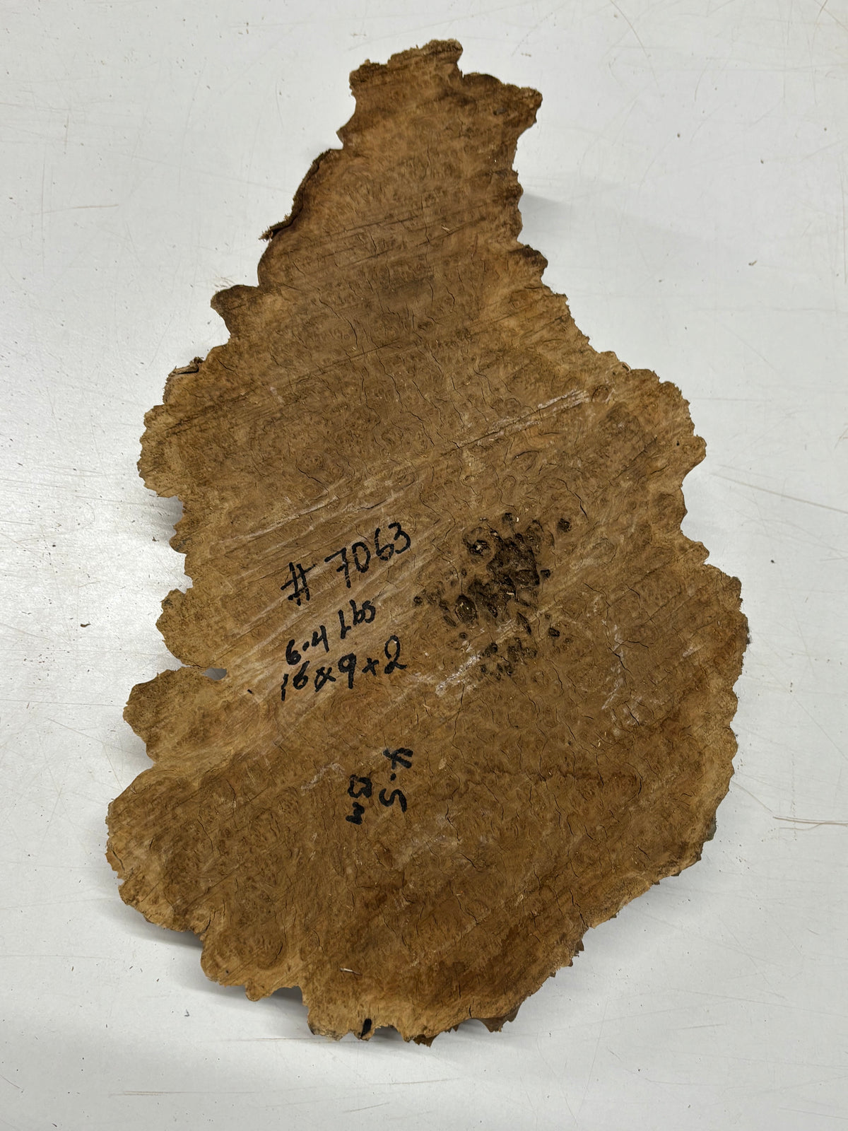 Brown Mallee Burl Cap 16" x 9" x 2" 6.4 Lbs #7063 - Exotic Wood Zone