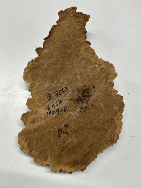 Brown Mallee Burl Cap 16" x 9" x 2" 6.4 Lbs #7063 - Exotic Wood Zone