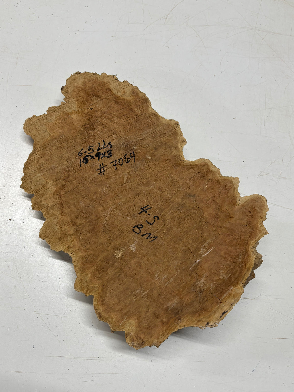Brown Mallee Burl Cap 15" x 9" x 3" 6.5 Lbs #7064 - Exotic Wood Zone