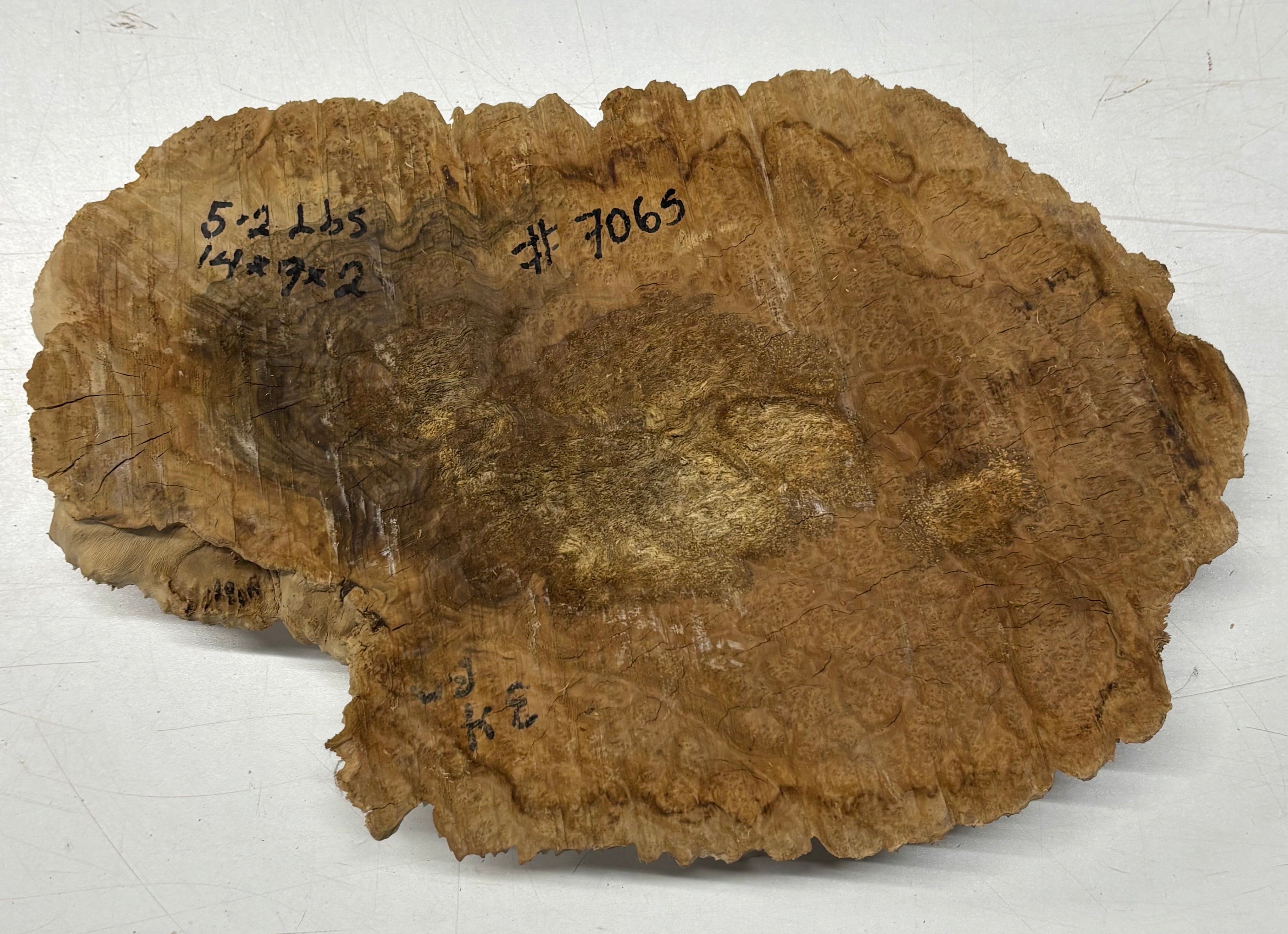 Brown Mallee Burl Cap 14" x 7" x 2" 5.2 Lbs #7065 - Exotic Wood Zone
