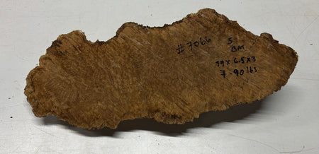 Brown Mallee Burl Cap 19" x 6.5" x 3" 7.9 Lbs #7066 - Exotic Wood Zone