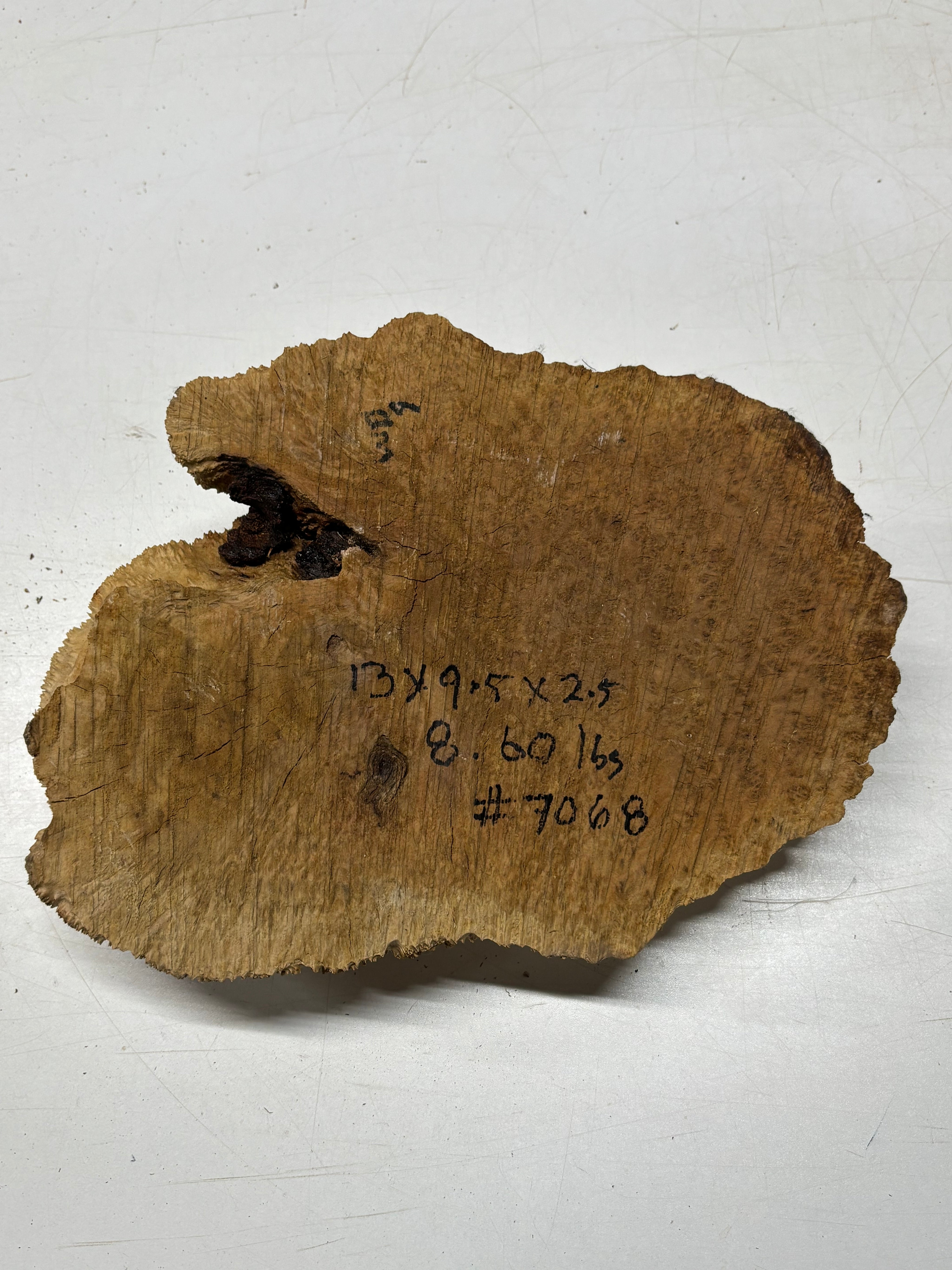 Brown Mallee Burl Cap 13" x 9.5" x 2.5" 8.6 Lbs #7068 - Exotic Wood Zone