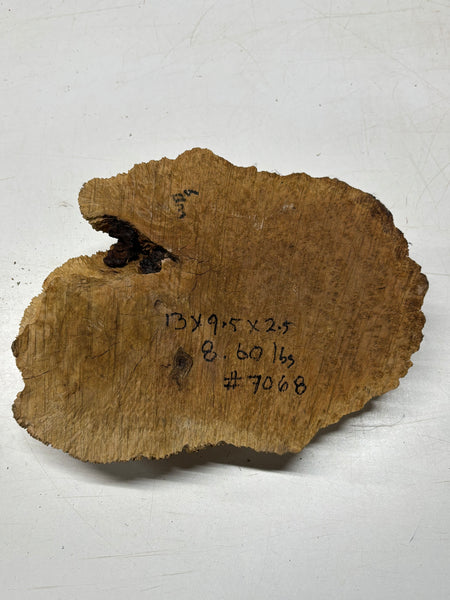 Brown Mallee Burl Cap 13" x 9.5" x 2.5" 8.6 Lbs #7068 - Exotic Wood Zone