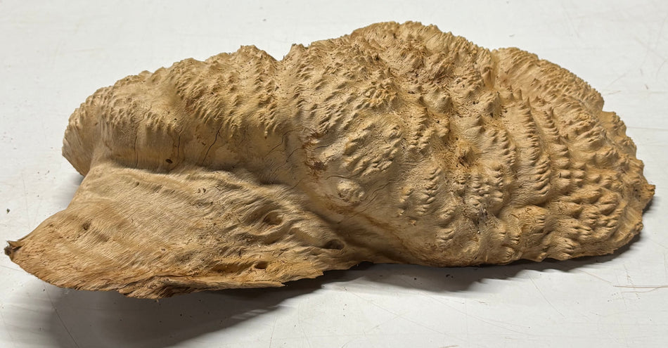 Brown Mallee Burl Cap 14" x 9" x 3.5" 7.95 Lbs #7069 - Exotic Wood Zone