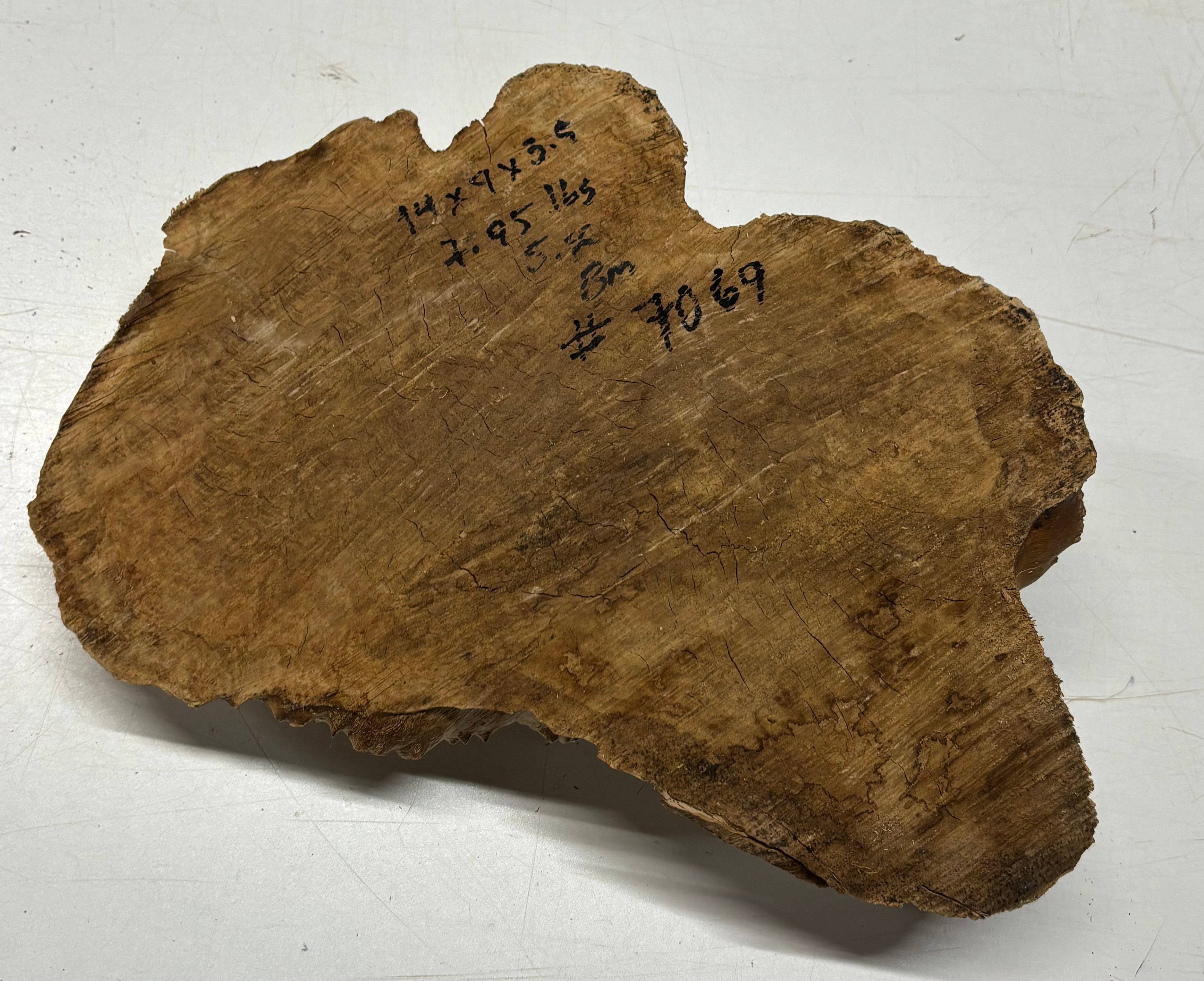 Brown Mallee Burl Cap 14" x 9" x 3.5" 7.95 Lbs #7069 - Exotic Wood Zone