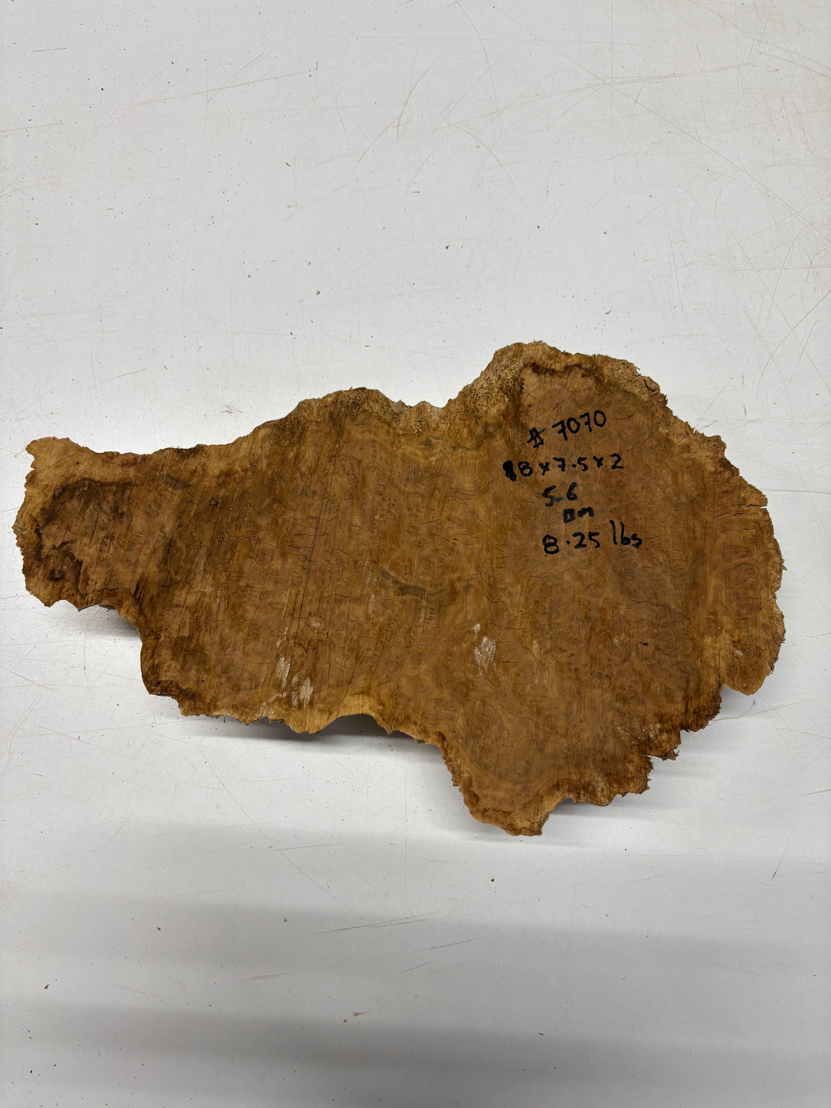 Brown Mallee Burl Cap 18" x 7.5" x 2" 8.25 Lbs #7070 - Exotic Wood Zone
