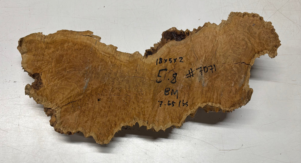 Brown Mallee Burl Cap 18" x 5" x 2" 7.65 Lbs #7071 - Exotic Wood Zone