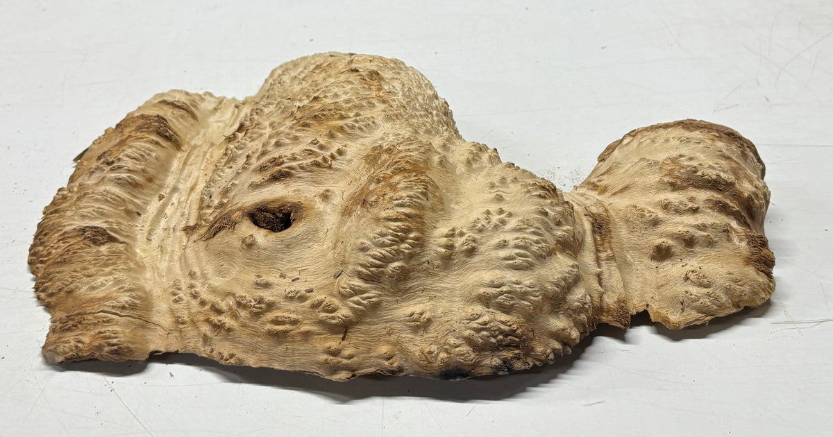 Brown Mallee Burl Cap 15" x 10" x 3" 5.4 Lbs #7072 - Exotic Wood Zone