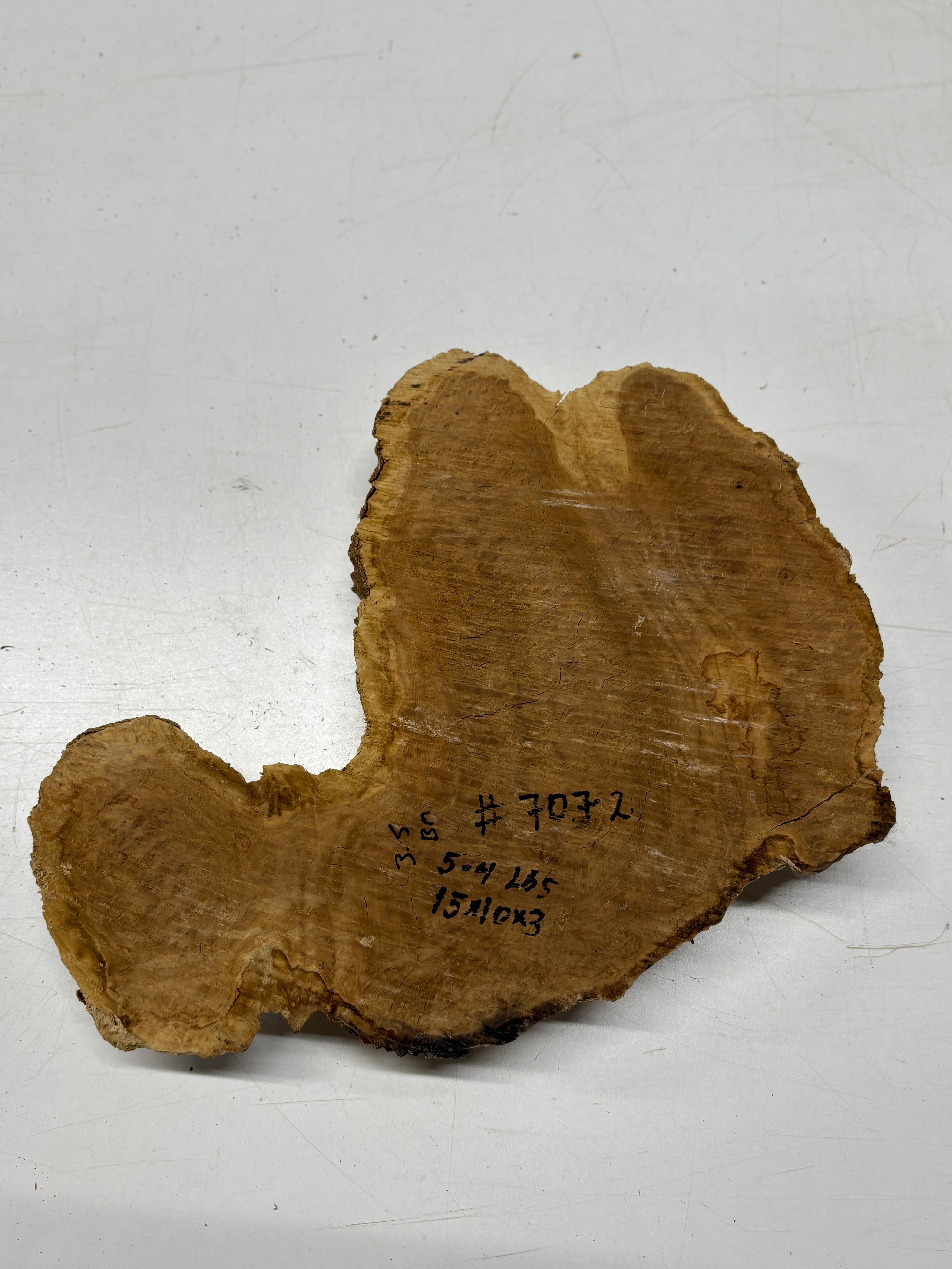 Brown Mallee Burl Cap 15" x 10" x 3" 5.4 Lbs #7072 - Exotic Wood Zone