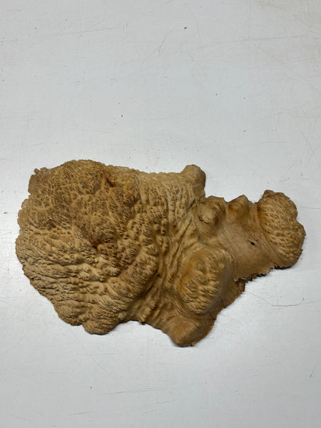 Brown Mallee Burl Cap 16" x 8" x 3" 8.5 Lbs #7073 - Exotic Wood Zone