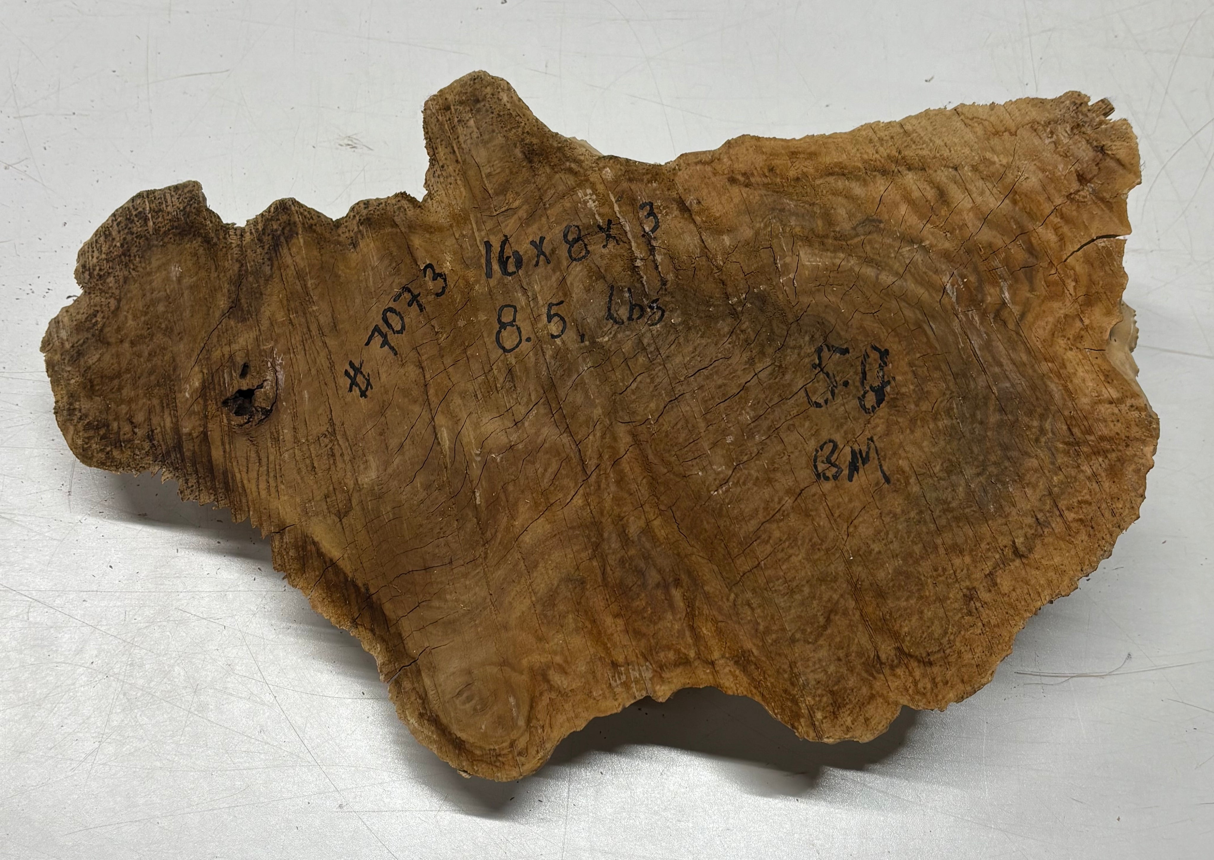 Brown Mallee Burl Cap 16" x 8" x 3" 8.5 Lbs #7073 - Exotic Wood Zone