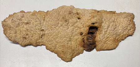 Brown Mallee Burl Cap 23-1/2" x 9" x 1-1/2" 8.6 Lbs #7074 - Exotic Wood Zone