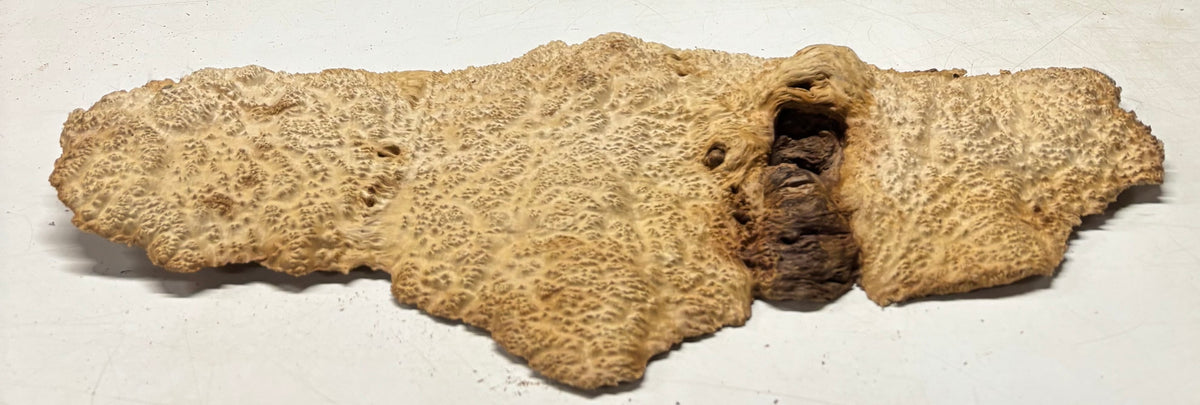 Brown Mallee Burl Cap 23-1/2" x 9" x 1-1/2" 8.6 Lbs #7074 - Exotic Wood Zone