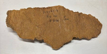 Brown Mallee Burl Cap 23-1/2" x 9" x 1-1/2" 8.6 Lbs #7074 - Exotic Wood Zone