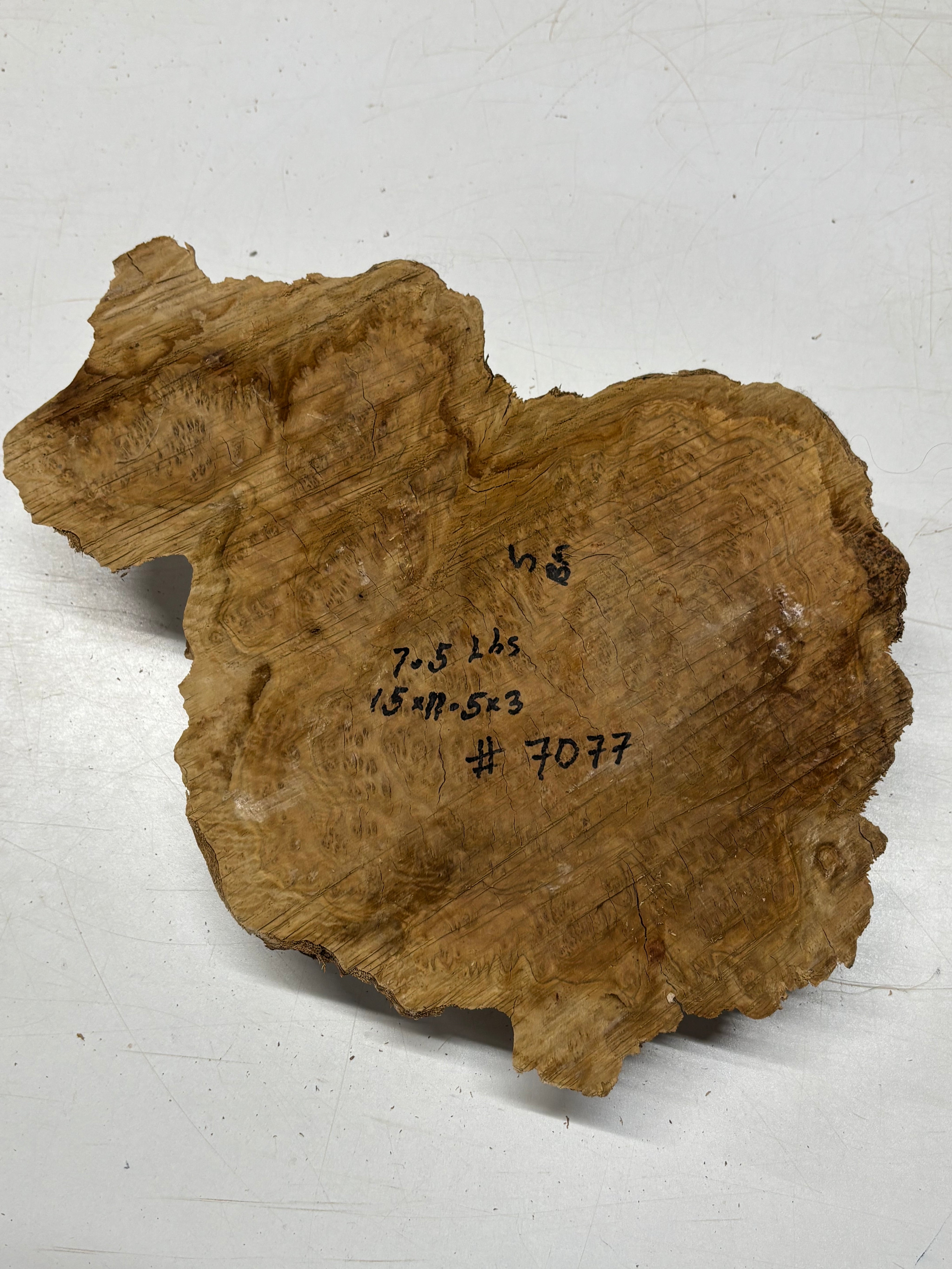 Brown Mallee Burl Cap 15" x 11.5" x 3" 7.5 Lbs #7077 - Exotic Wood Zone