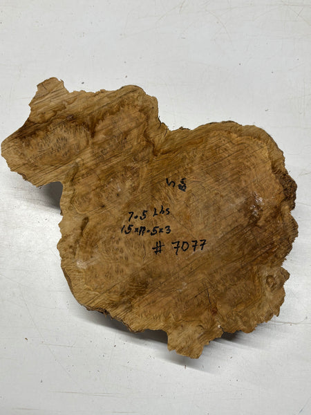 Brown Mallee Burl Cap 15" x 11.5" x 3" 7.5 Lbs #7077 - Exotic Wood Zone