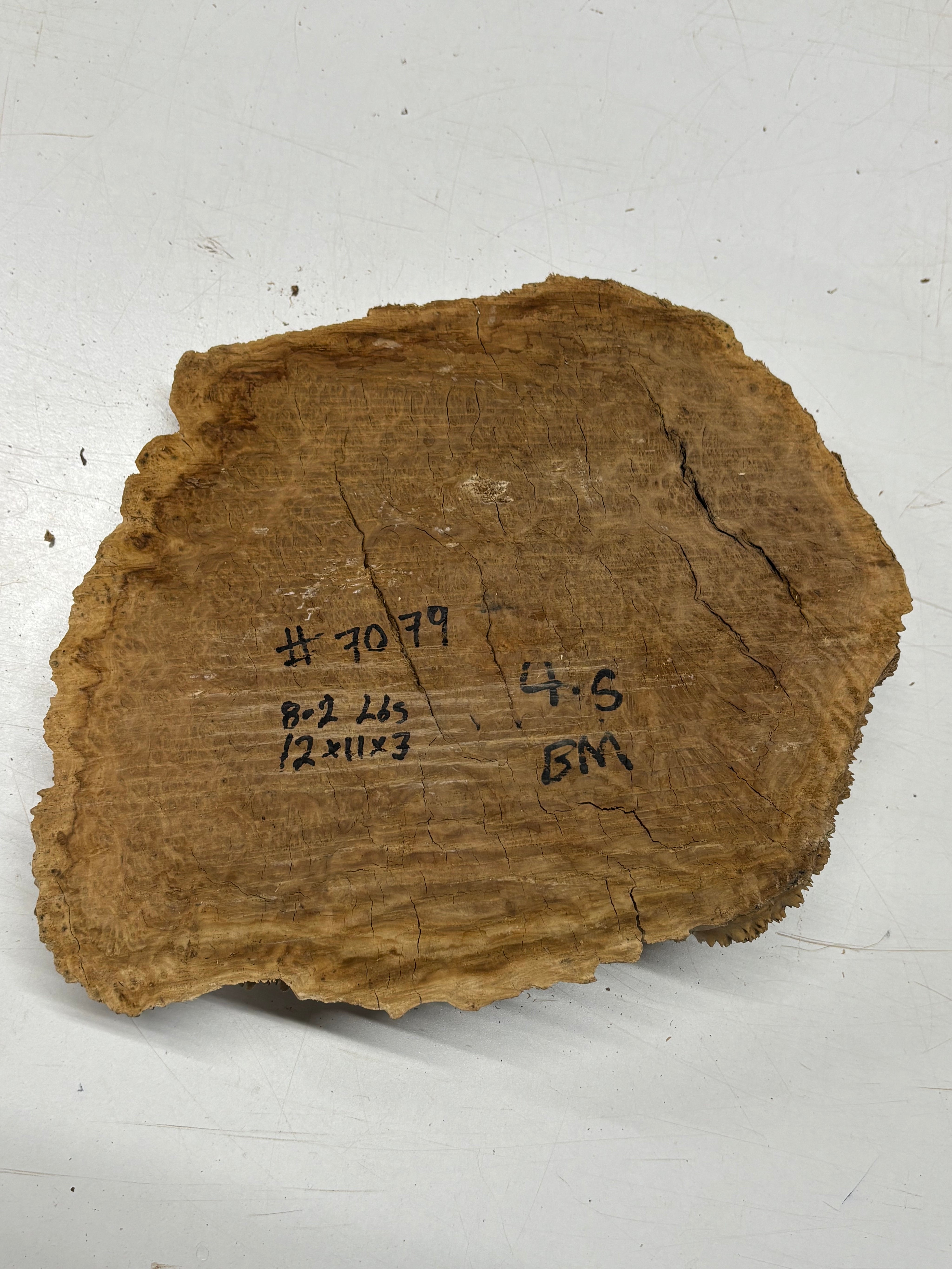 Brown Mallee Burl Cap 12" x 11" x 3" 8.2 Lbs #7079 - Exotic Wood Zone