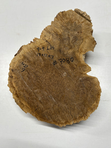 Brown Mallee Burl Cap 13" x 11" x 3" 9.4 Lbs #7080 - Exotic Wood Zone