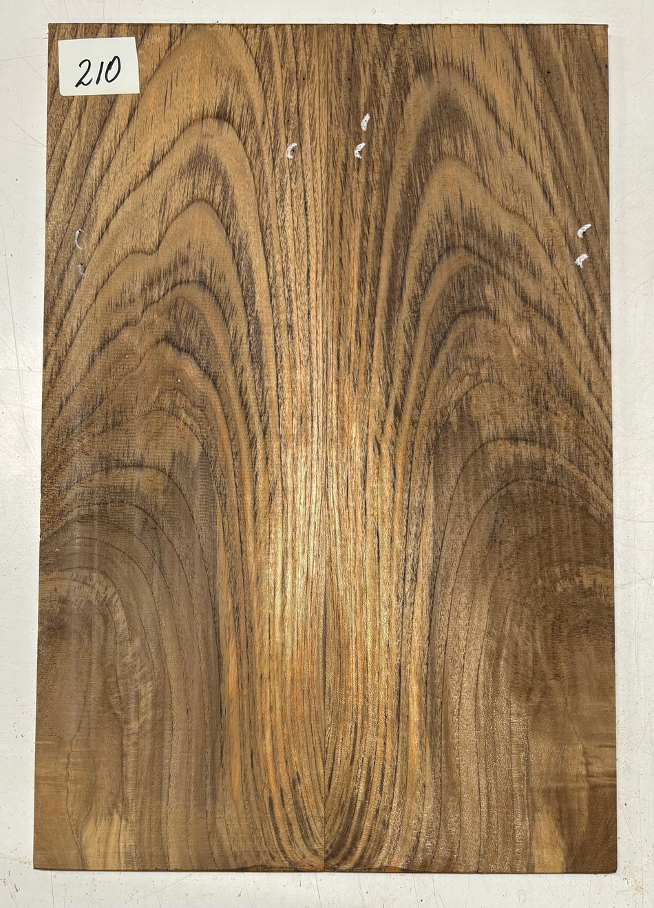 Teak Guitar Drop Top 21" x 7-1/8" x 3/8" #210