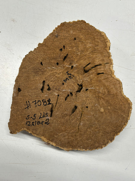 Brown Mallee Burl Cap 12" x 10" x 2" 5.5 Lbs #7082 - Exotic Wood Zone