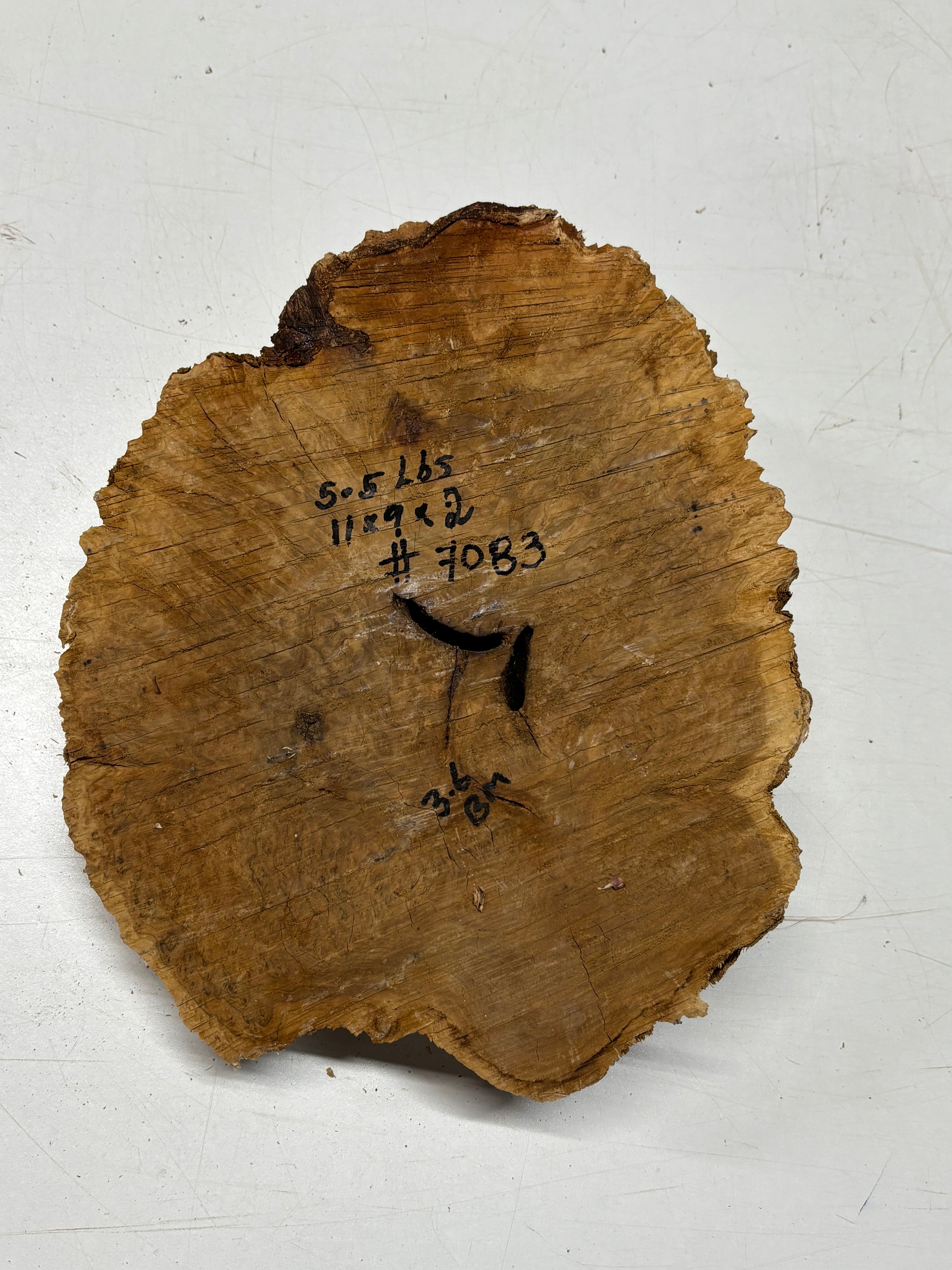 Brown Mallee Burl Cap 11" x 9" x 2" 5.5 Lbs #7083 - Exotic Wood Zone