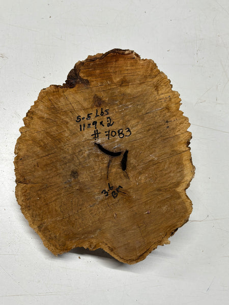 Brown Mallee Burl Cap 11" x 9" x 2" 5.5 Lbs #7083 - Exotic Wood Zone