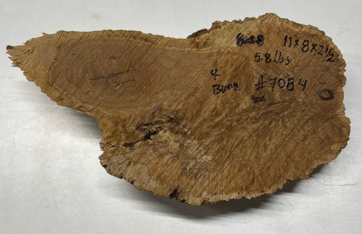 Brown Mallee Burl Cap 11" x 8" x 2.5" 5.8 Lbs #7084 - Exotic Wood Zone