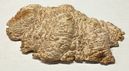 Brown Mallee Burl Cap 15" x 11" x 2.5" 6.8 Lbs #7085 - Exotic Wood Zone