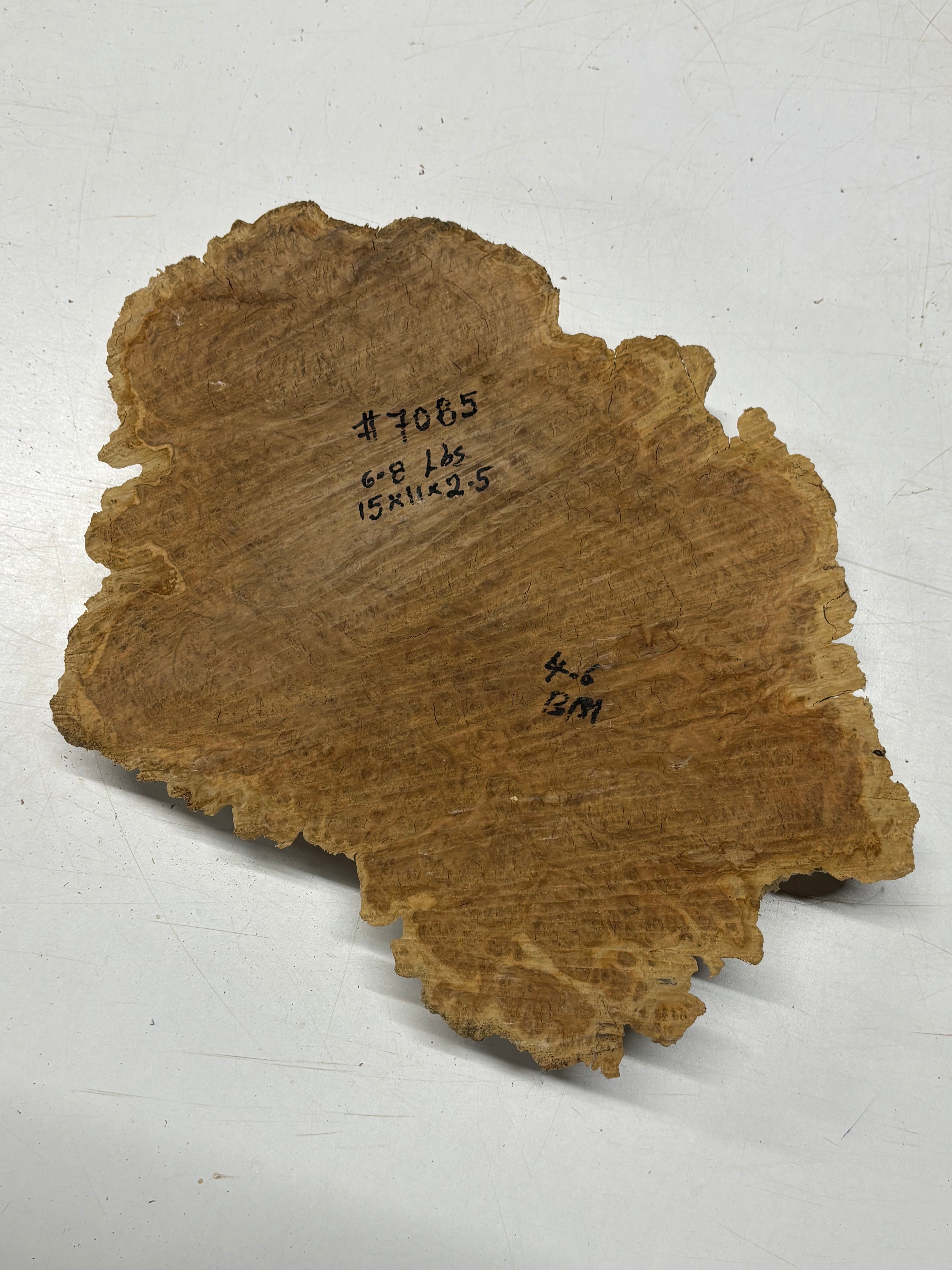 Brown Mallee Burl Cap 15" x 11" x 2.5" 6.8 Lbs #7085 - Exotic Wood Zone