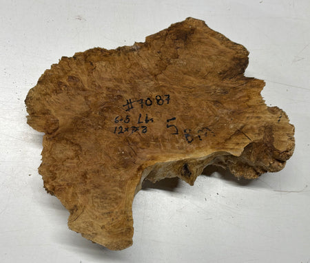Brown Mallee Burl Cap 12" x 7" x 3" 6.5 Lbs #7087 - Exotic Wood Zone