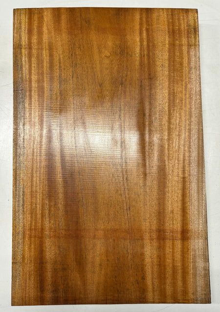 Premium Mahogany Guitar Body Blank - 28" x 18" x 2" (Single Piece) #40 Exotic Wood Zone 
