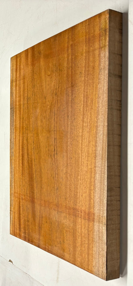 Premium Mahogany Guitar Body Blank - 28" x 18" x 2" (Single Piece) #40 Exotic Wood Zone 