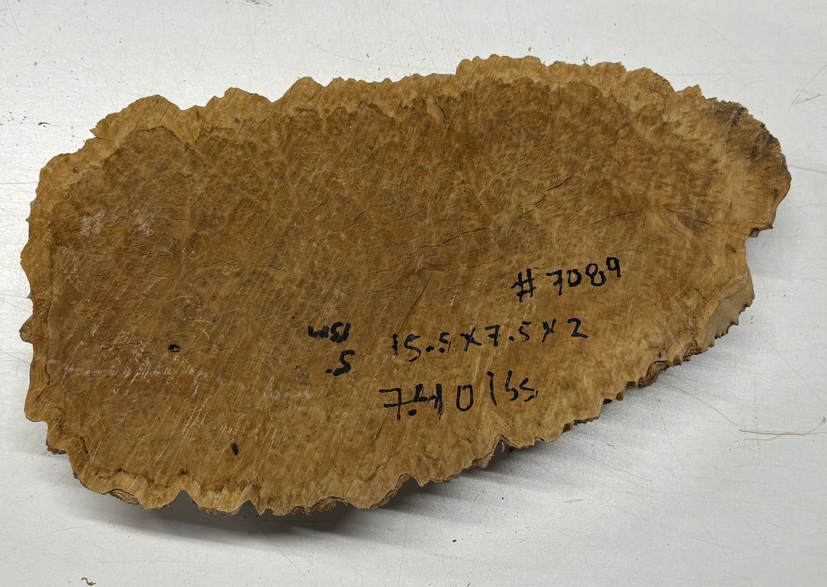 Brown Mallee Burl Cap 15.5" x 7.5" x 2" 7.4 Lbs #7089 - Exotic Wood Zone