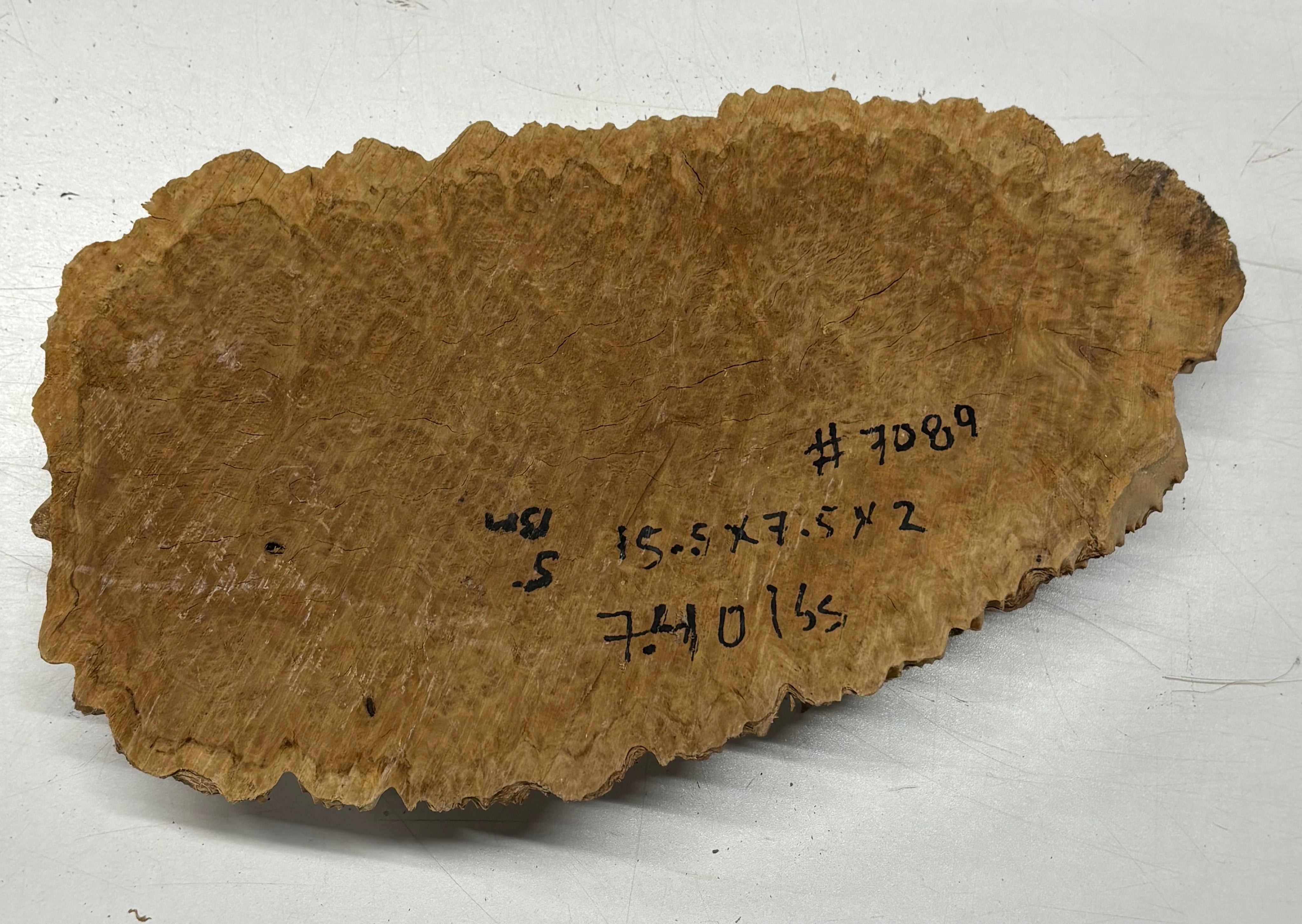 Brown Mallee Burl Cap 15.5" x 7.5" x 2" 7.4 Lbs #7089 - Exotic Wood Zone