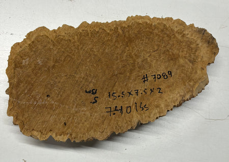 Brown Mallee Burl Cap 15.5" x 7.5" x 2" 7.4 Lbs #7089 - Exotic Wood Zone