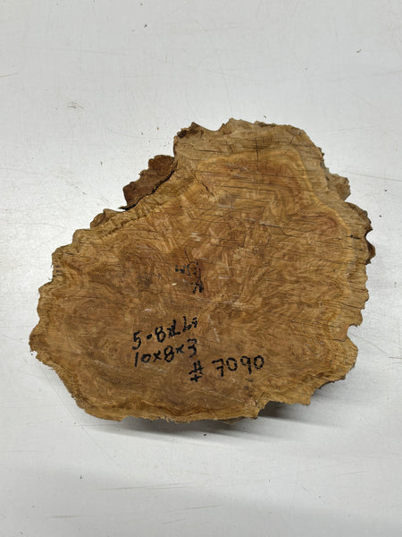 Brown Mallee Burl Cap 10" x 8" x 3" 5.8 Lbs #7090 - Exotic Wood Zone