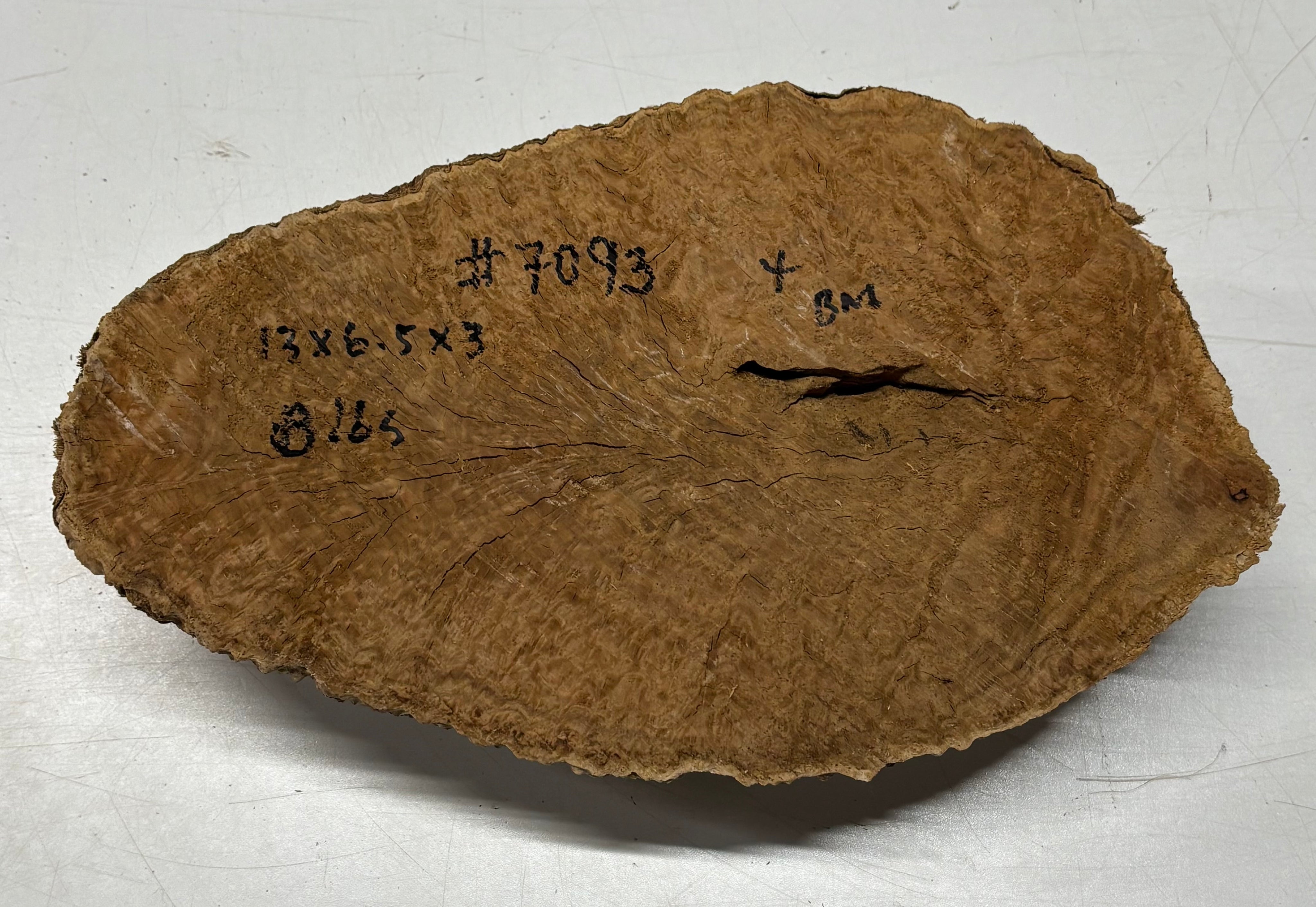 Brown Mallee Burl Cap 13" x 6.5" x 3" 8 Lbs #7093 - Exotic Wood Zone