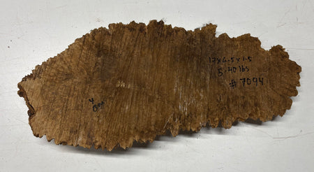 Brown Mallee Burl Cap 17" x 6.5" x 1.5" 5.4 Lbs #7094 - Exotic Wood Zone