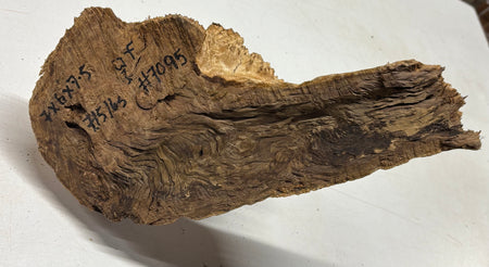 Brown Mallee Burl Cap 7" x 6" x 7.5" 7.15 Lbs #7095 - Exotic Wood Zone